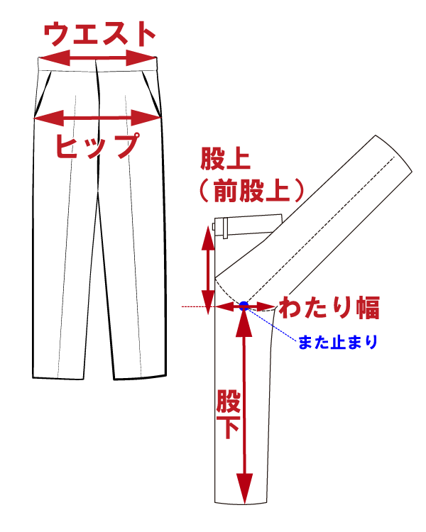 サイズ